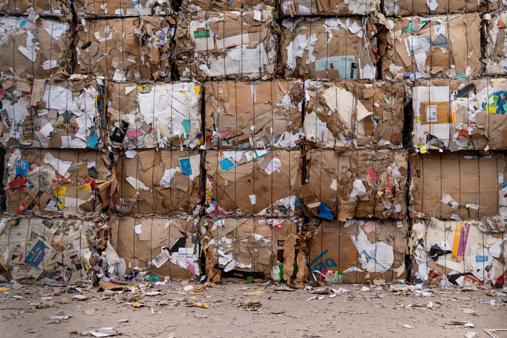 Bales of collected cardboard stacked for recycling